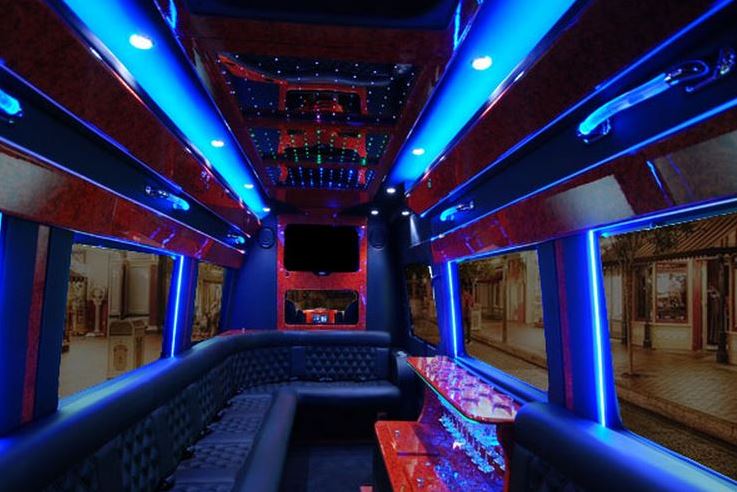 Party Bus Rental Cornelius 